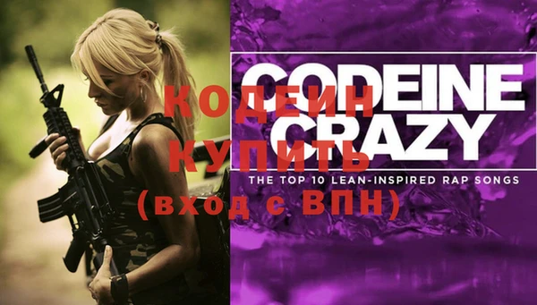 2c-b Гусев