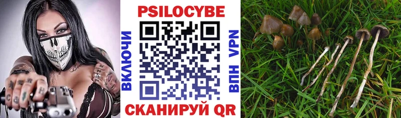 Галлюциногенные грибы прущие грибы Чебаркуль